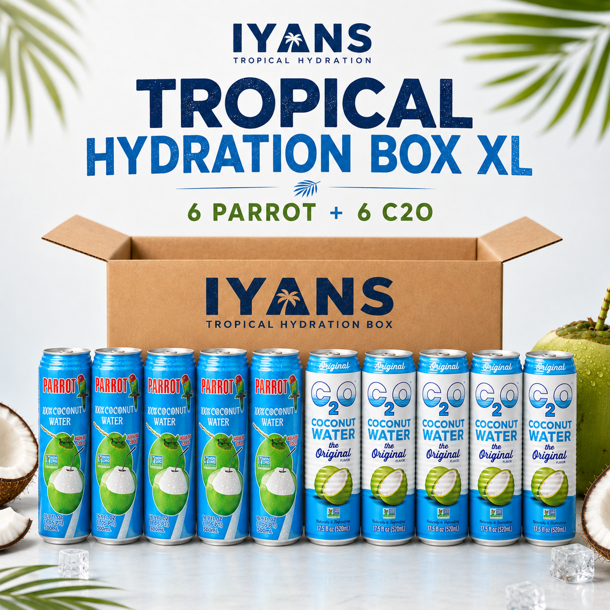 Tropical Hydration Box XL